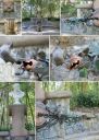 Fuente_Hercules__02.jpg