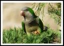 Natura_08.jpg