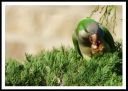 Natura_12.jpg
