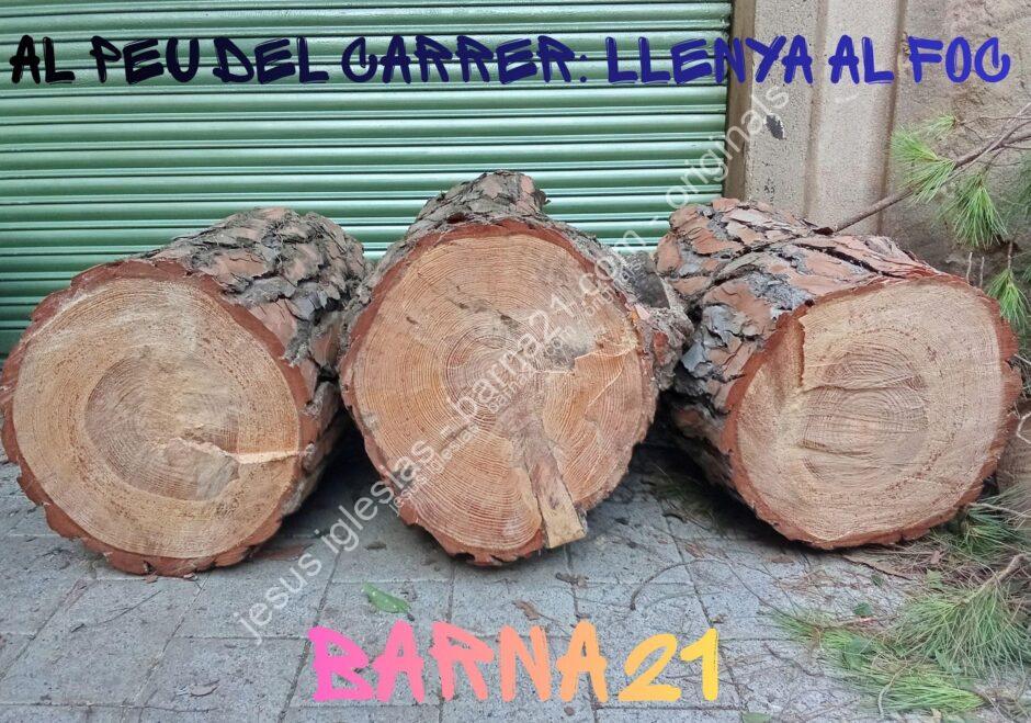 barna21